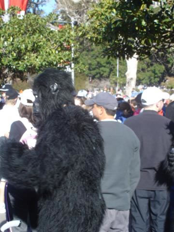 DSC03379_JPG