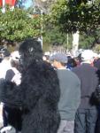 DSC03379_JPG